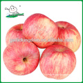 Fresh apple/Fresh Red Fuji Apple/Fresh apple from china